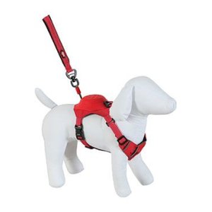 Postroj pes s vodítkom EASY RIDE červená S Zolux
