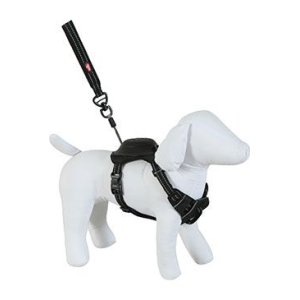 Postroj pes s vodítkom EASY RIDE čierna S Zolux