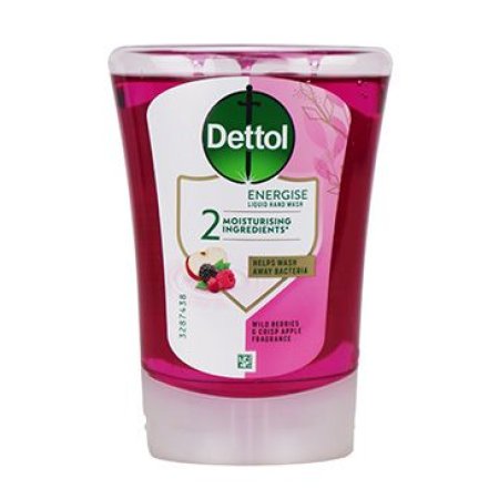 Dettol náhradná náplň Lesné ovocie 250ml