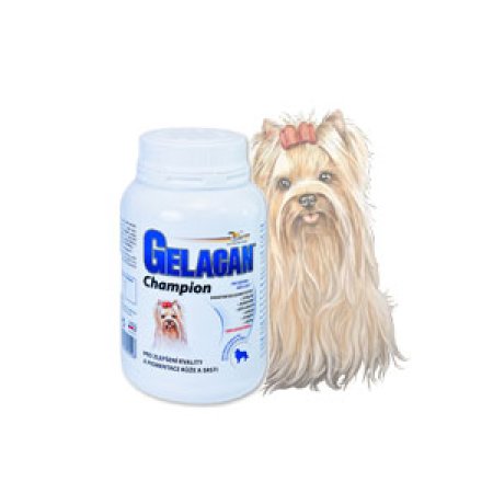 Gelacan Champion psy farebné plemená 150g