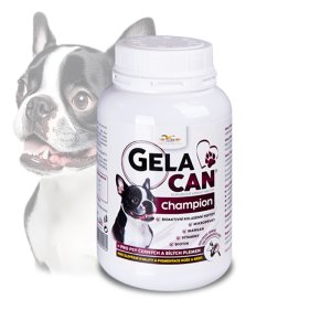 Gelacan Champion psy čiernobiele plemená 150g