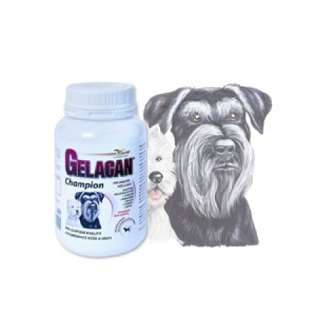 Gelacan Champion psy čiernobiele plemená 150g