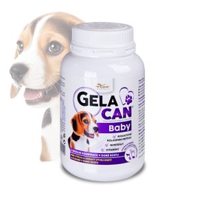 Gelacan Plus Baby 150g