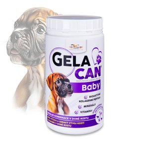 Gelacan Plus Baby 500g