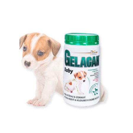 Gelacan Plus Baby 500g