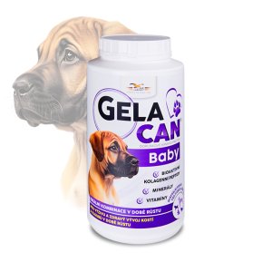 Gelacan Plus Baby 1000g