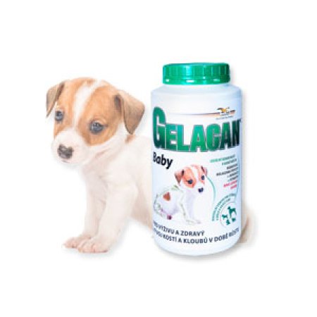 Gelacan Plus Baby 1000g