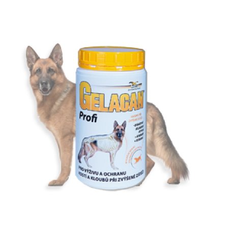 Gelacan Plus Profi 500g