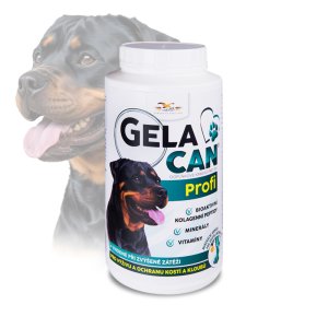 Gelacan Plus Profi 1000g