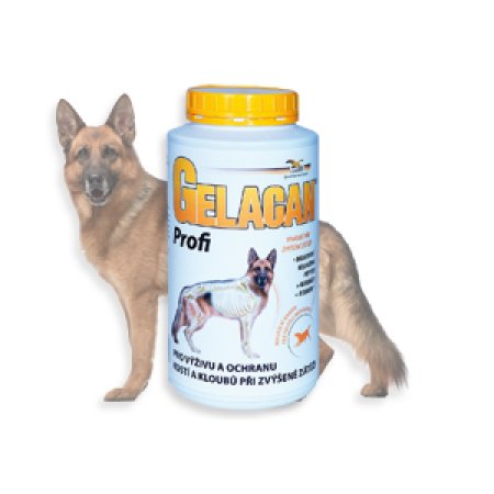 Gelacan Plus Profi 1000g
