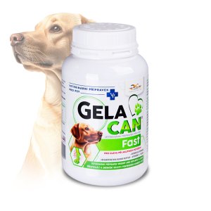 Gelacan Fast 150g