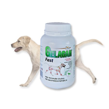 Gelacan Fast 150g