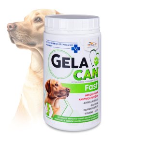 Gelacan Fast 500g