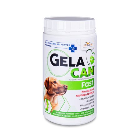 Gelacan Fast 500g