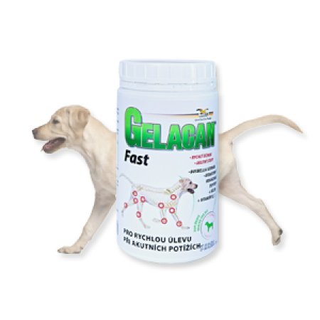 Gelacan Fast 500g
