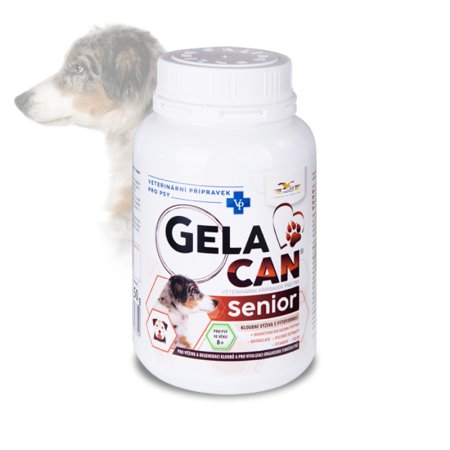 Gelacan Senior 150g