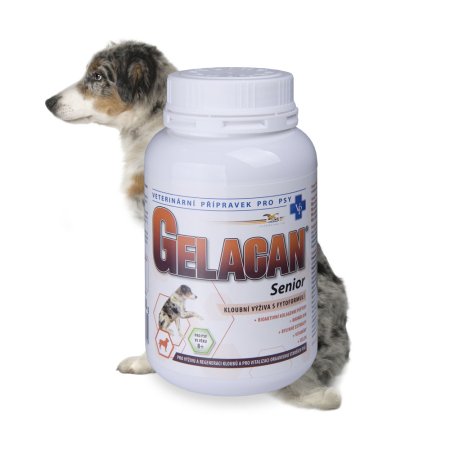 Gelacan Senior 150g