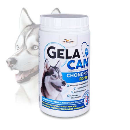 Gelacan Chondro Forte 500g
