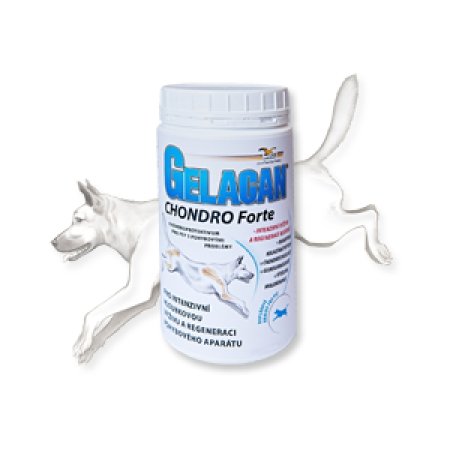 Gelacan Chondro Forte 500g
