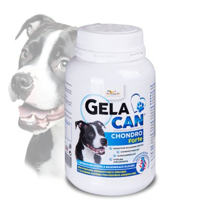 Gelacan Chondro Forte 150g