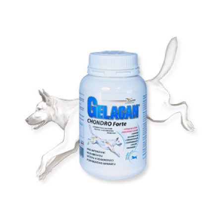 Gelacan Chondro Forte 150g