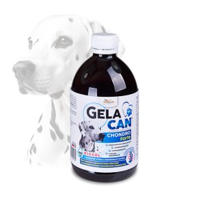 Gelacan Chondro Forte Biosol 500ml
