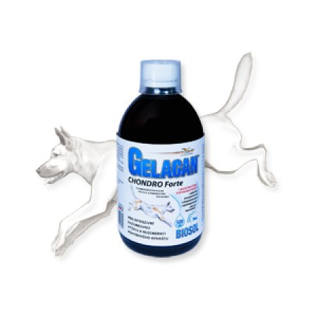 Gelacan Chondro Forte Biosol 500ml