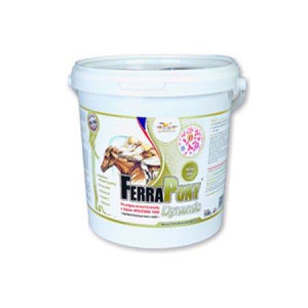 Ferrapony Dynamic 10kg