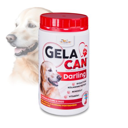 Gelacan Plus Darling 500g