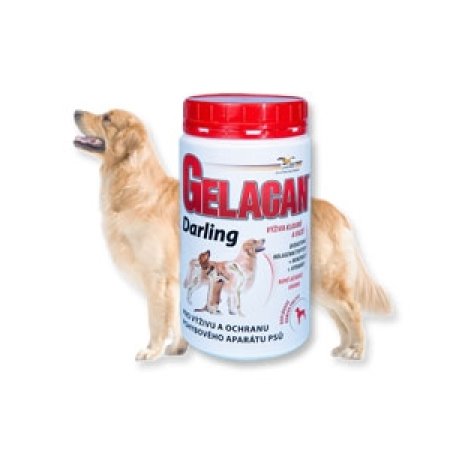 Gelacan Plus Darling 500g