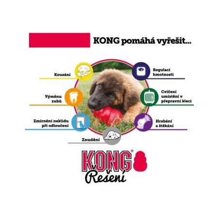 Dogtrace KONG Classic pre psov červená XXL