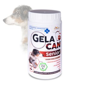 Gelacan Senior 500g