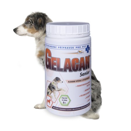 Gelacan Senior 500g