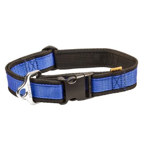 PROFIZOO Obojok popruh JEDNOBAREVNÝ (40 mm x 43 - 74 cm) modrá