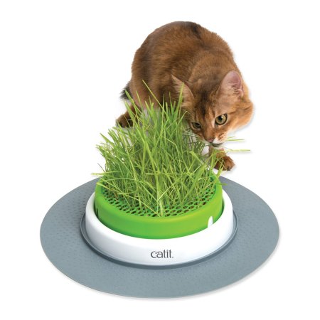 Trávnik CAT IT Design Senses 2.0 (DOPREDAJ)