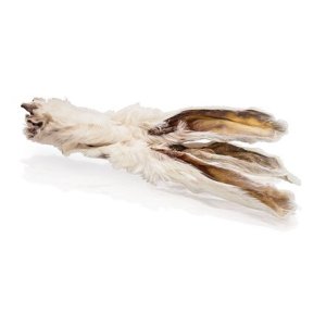 Králičie ucho so srsťou