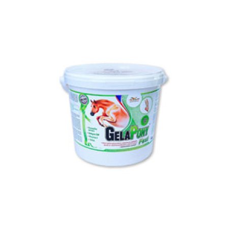 Gelapony Fast 1800g