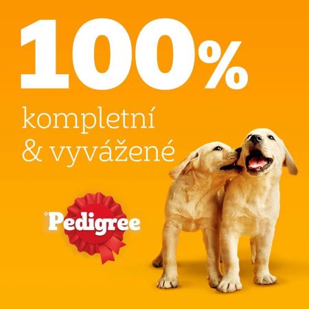 Pedigree kapsička Junior mixovaný výběr 40 x 100 g