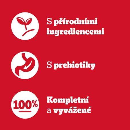 Pedigree kapsička Junior mixovaný výběr 40 x 100 g