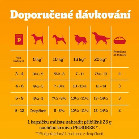 Pedigree kapsička Junior mixovaný výběr 40 x 100 g