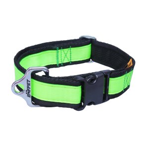 PROFIZOO Obojok popruh JEDNOBAREVNÝ (40 mm x 43 - 74 cm) zelená