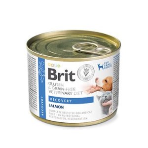Brit VD Dog + Cat GF konz Recovery 200g