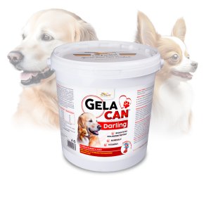 Gelacan Darling 5 kg