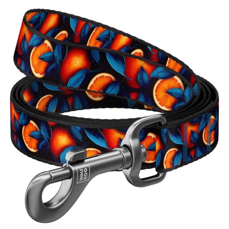 WAUDOG vodítko nylon Pomeranče (L-XXL/122cm/2,5cm) 