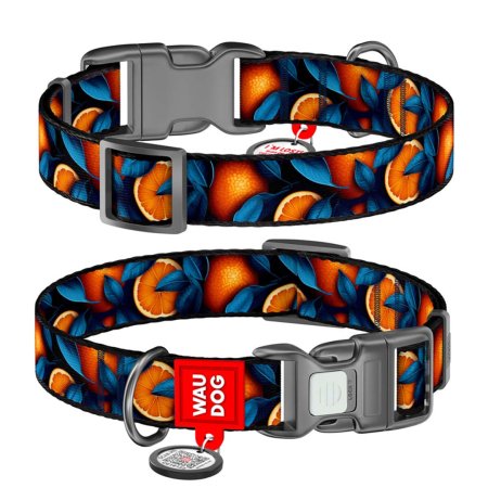 WAUDOG obojek nylon Pomeranče QR (S/25-35cm/1,5cm)
