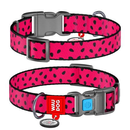 WAUDOG obojek nylon Meloun QR (S/25-35cm/1,5cm)