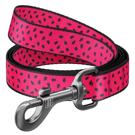WAUDOG vodítko nylon Meloun (L-XXL/122cm/2,5cm) 