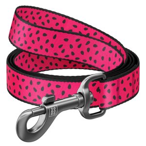 WAUDOG vodítko nylon Melón (M/122cm/2cm)