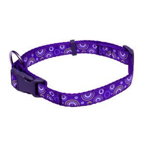 PROFIZOO Obojok popruh KRÚŽKY (20 mm x 38 - 60 cm) fialová