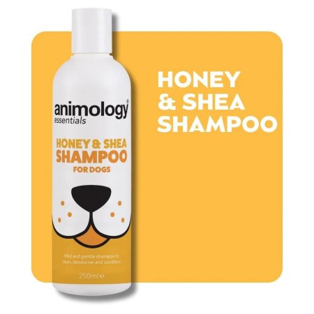 Animology Essentials Šampon pro psy med a bambucké máslo 250ml
